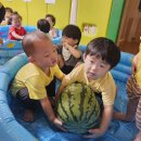 솔솔어린이집 이미지