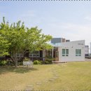 종달로가 이미지