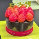 (주)위드공감 | 투썸 두초생 예약 성공 및 기프티콘 당첨 후기 &amp; 베라 두바이케이크 비교