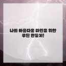 내몸살리는필라테스 | 내 몸의 곡선을 살리는 비밀, 필라테스와 스트레칭 완벽 가이드!