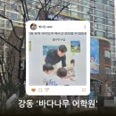 큰나무어학원 | 바다나무 어학원 예비초등 설명회 다녀온 후기(바다코어, 바다리더스)