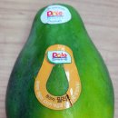 유)파파야 이미지