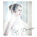 드림리츠