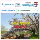 스마트해법수학 - 전주시 완산구 범안1길 36 | 스마트해법수학