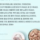 오션 캣 이미지