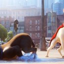 DC League of Super Pets 이미지