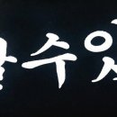 보보나마켓 이미지