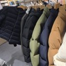 오프스테인 | 라코스테 시즌오프 세일 필승템! 53만원 패딩 푸퍼를 30만원에?