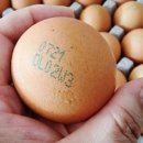 한솔제2농장 이미지