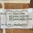 느므즈므 | 애견동반 가능한 강원도 평창의 대형 카페 _그리심 / 동화속 공주님 재질 카페