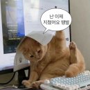 청구사 이미지