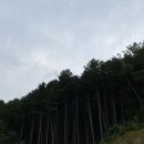 이종선치과의원 이미지