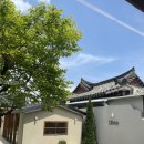 경주단석도서관 화장실 | 황리단길맛집 경주한식 향택경주