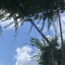 더블7080 | 카페 일기 2 : 수습기간은 끝났지만 신입으로 리셋. 그라고 퇴사. 스타벅스 바리스타 근무 일기 part.2