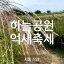 난지천1(난지주차장) 이미지