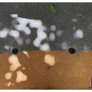 봉화초등학교 병설유치원 이미지