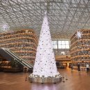 메디컬트리 이미지