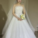 투어동행