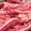 평원애견 이미지