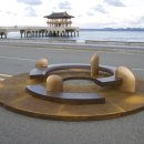 공존의표상 이미지