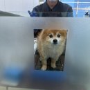 최재호 한방동물병원 이미지