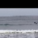 양양 죽도해변과 서핑 이미지