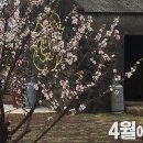 산들꽃펜션 이미지