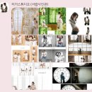 파주 유니티 산후조리원-일산 미가 스튜디오 아기 성장 앨범 계약 후기!!
