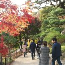 곤지암 에 있는 화담숲 전국교사불자회 산책(2) 이미지