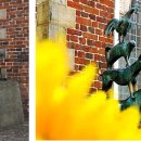 브레멘음악대 이미지