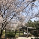 인천광역시교육청 인천광역시교육청부평도서관 | 인천광역시교육청 북구도서관 방문기, 부평구청 무인민원 atm 위치