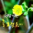 "'청계산'계곡의 '수종폭포'와 '서울대공원 치유의 숲' 산책"＜2023.08.13(일)＞ 이미지