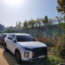 (사)케이비엘 | 수원 KT 소닉붐 아레나 2025 KBL 경기 직관 후기