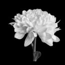 스마트 행정사사무소 이미지