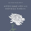 pet 29누 6284 | 25년 1월 첫번째 주간일기