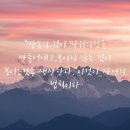 39도시락 이미지