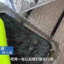용화실크로드민박 | 中, 김에서 적어도 3마리의 바퀴벌레 사체를 발견했다 ?