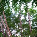 우후농장 이미지