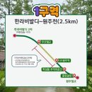 기차바람길공원 | 원주 치악산 바람길 숲｜아이와 걷기 좋은 폐철도 산책길