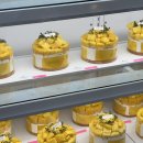 블루테라스 | 일산 케이크 맛집, 라테라스드파리 내돈내산 후기(블루리본)