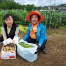 광명농장 이미지