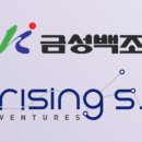 에스벤처스