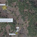 성불사지 석불입상 이미지