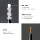래쉬핏(Lash Fit)