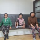 연정2리 Daum카페