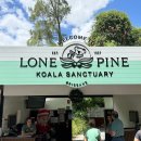 파인골드 앤 네이처 | 호주여행 브리즈번 골드코스트 모튼아일랜드 론파인 커럼빈 코알라