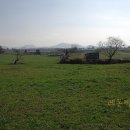 초록빛목장 이미지