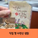 큰형네건강즙 | [자연산칡즙] 칡즙효능 – 당뇨, 남자·여자별 변화까지 솔직후기｜큰형네건강즙