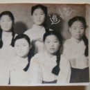 도목리 Daum카페