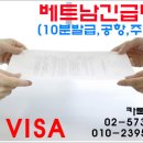엘에이치 비자(L.H VISA) 네이버블로그